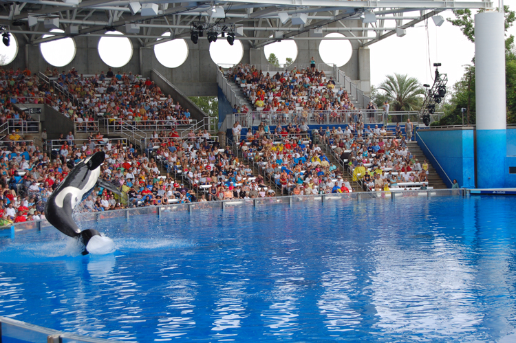 06-06-18, 134, SeaWorld, Fla