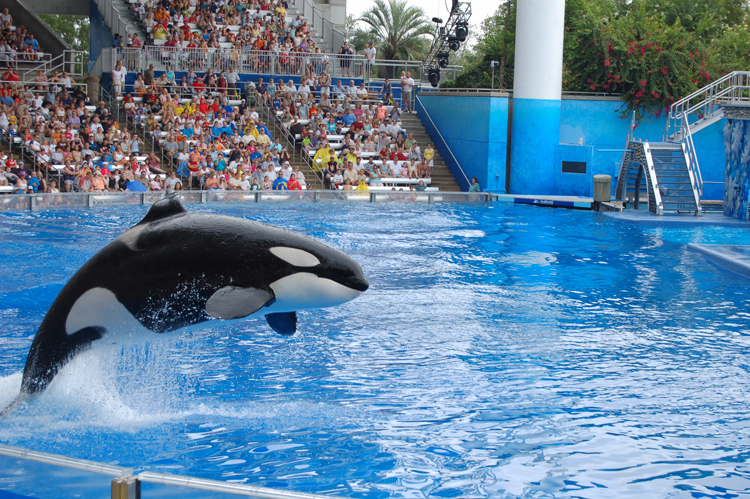 06-06-18, 135, SeaWorld, Fla