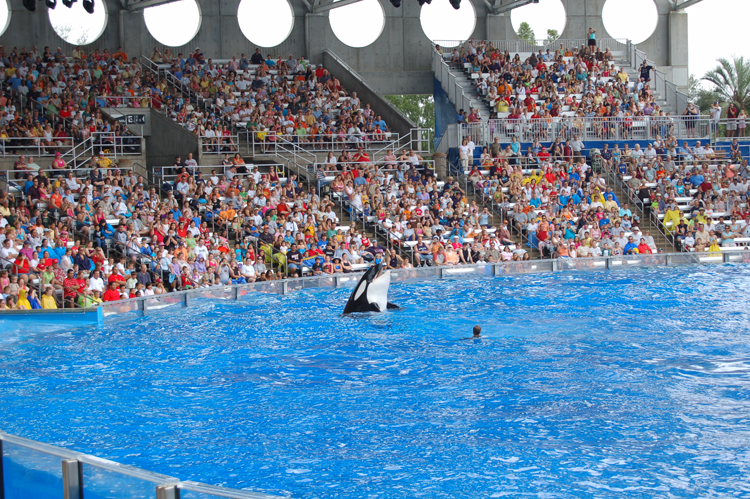 06-06-18, 138, SeaWorld, Fla
