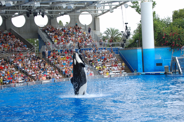 06-06-18, 139, SeaWorld, Fla