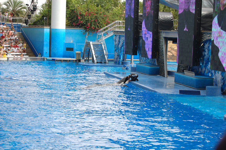 06-06-18, 140, SeaWorld, Fla