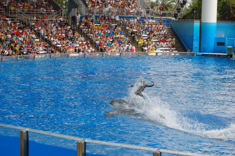 06-06-18, 141, SeaWorld, Fla