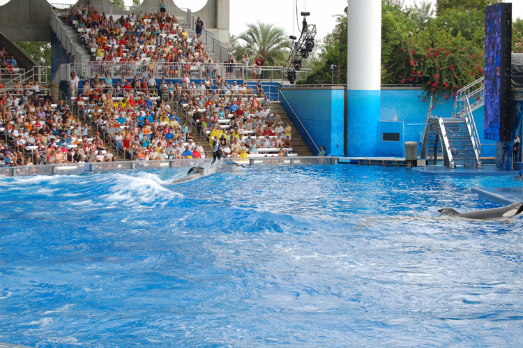 06-06-18, 142, SeaWorld, Fla