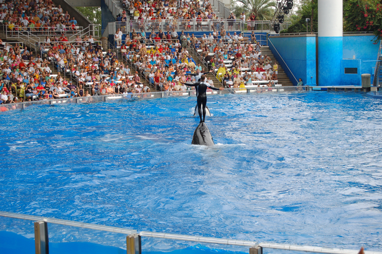 06-06-18, 143, SeaWorld, Fla