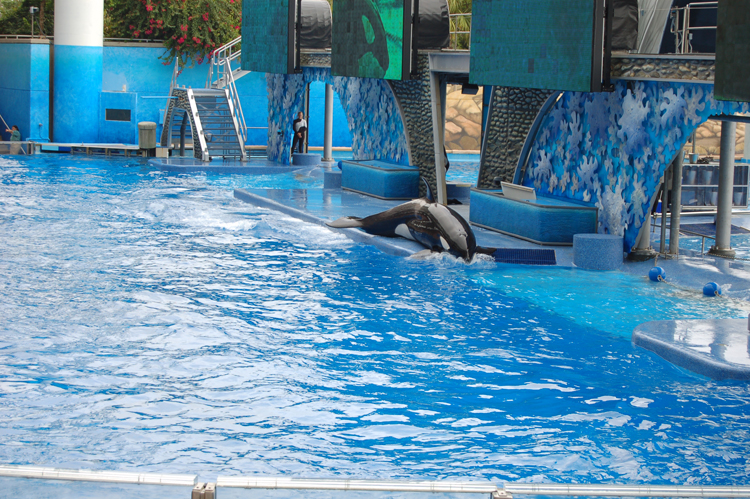 06-06-18, 144, SeaWorld, Fla