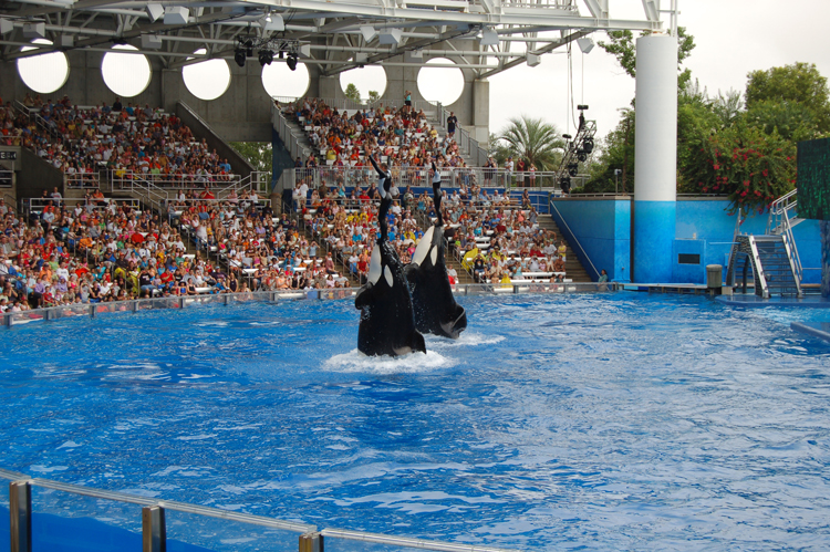 06-06-18, 145, SeaWorld, Fla
