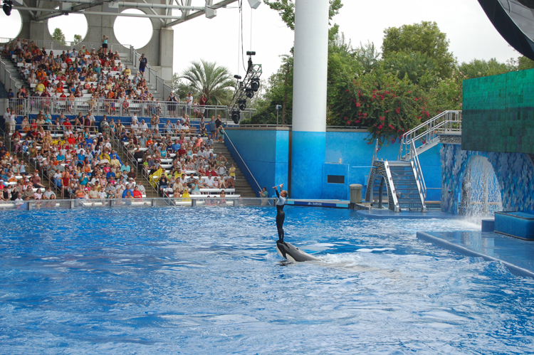 06-06-18, 147, SeaWorld, Fla