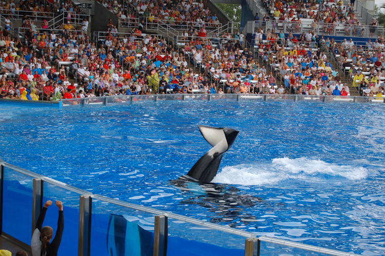 06-06-18, 148, SeaWorld, Fla