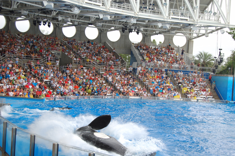06-06-18, 149, SeaWorld, Fla