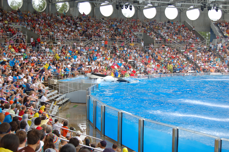 06-06-18, 151, SeaWorld, Fla