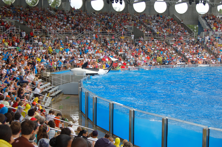 06-06-18, 152, SeaWorld, Fla