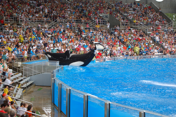 06-06-18, 153, SeaWorld, Fla