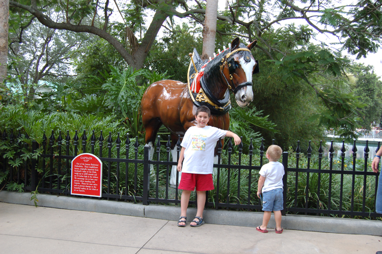 06-06-18, 160, SeaWorld, Mikey, Connor, Fla