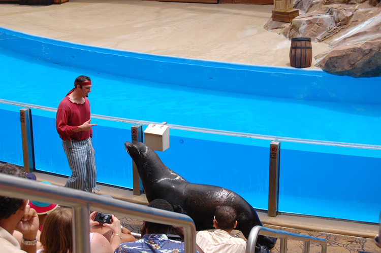 06-06-18, 166, SeaWorld, Fla