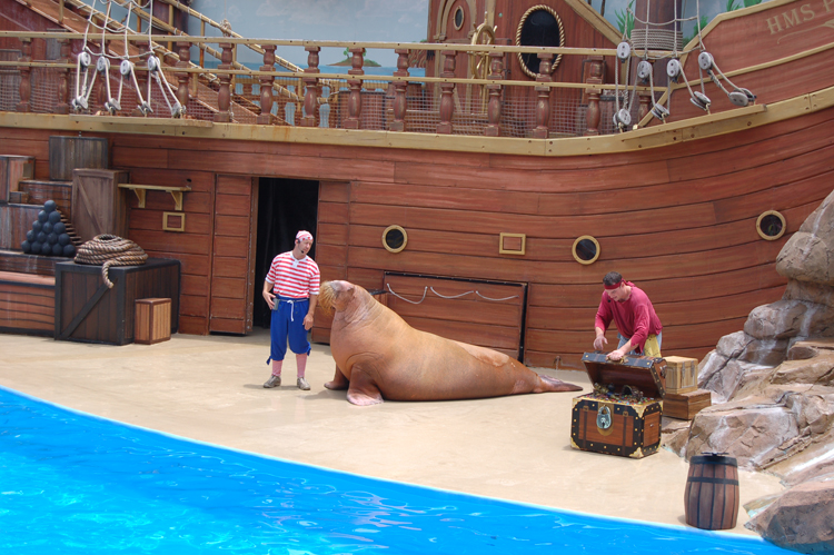 06-06-18, 167, SeaWorld, Fla