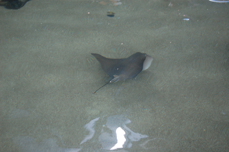 06-06-18, 168, SeaWorld, Fla
