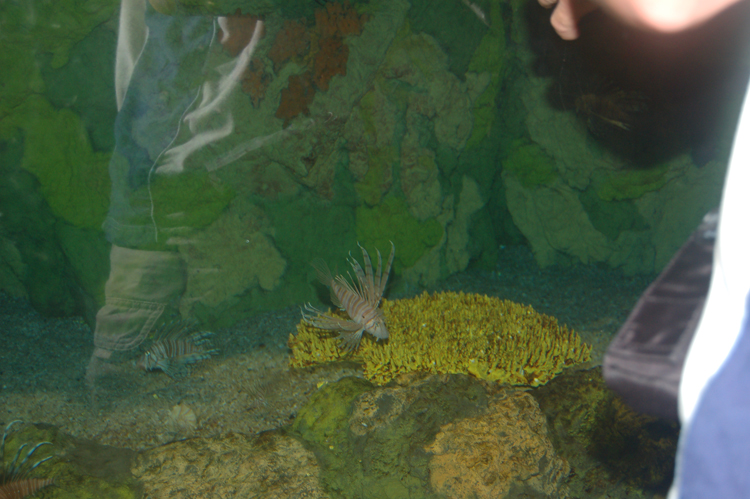 06-06-18, 170, SeaWorld, Fla