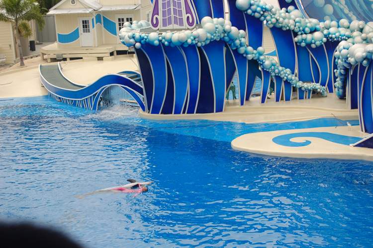 06-06-18, 182, SeaWorld, Fla