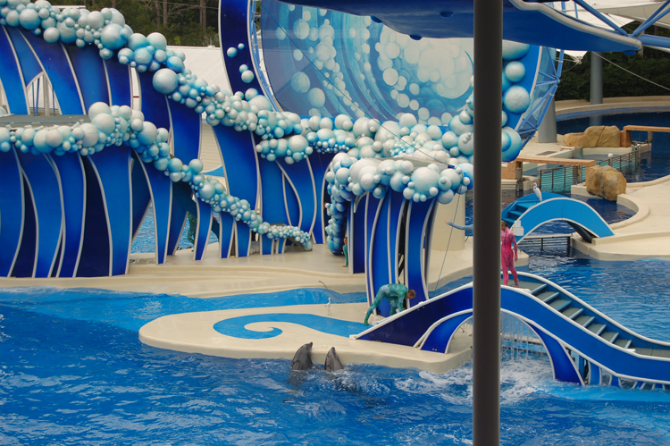 06-06-18, 184, SeaWorld, Fla