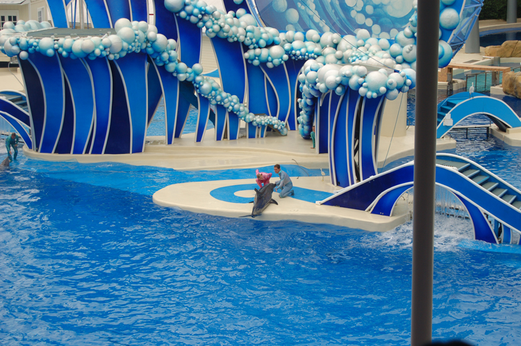 06-06-18, 185, SeaWorld, Fla