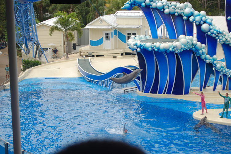 06-06-18, 188, SeaWorld, Fla