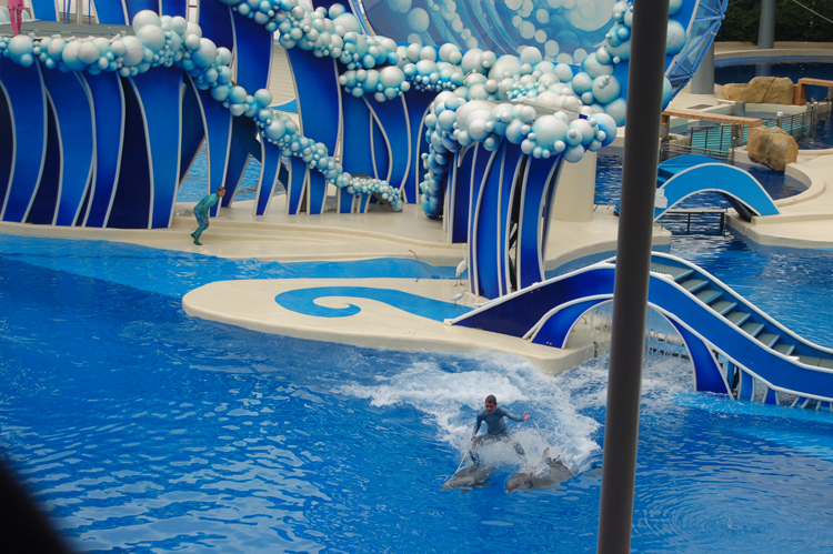 06-06-18, 191, SeaWorld, Fla