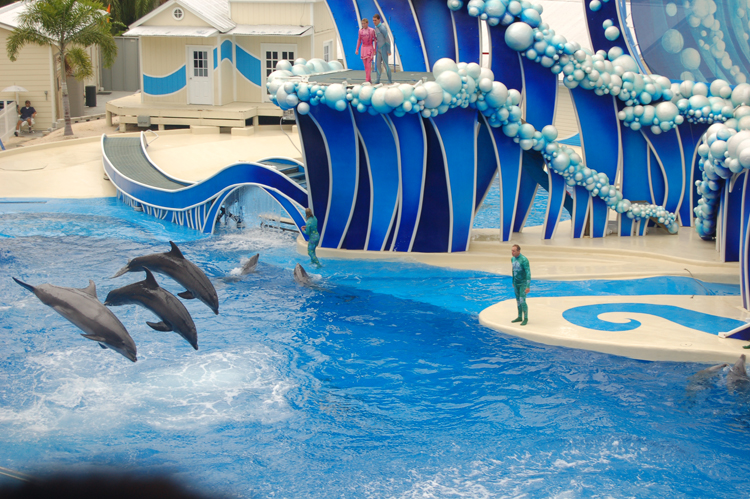 06-06-18, 195, SeaWorld, Fla