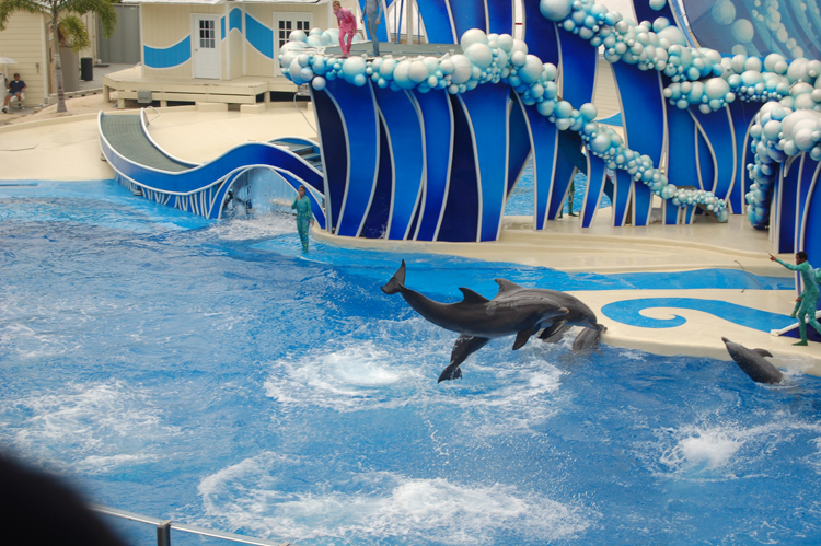 06-06-18, 196, SeaWorld, Fla