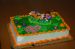 06-06-17, 102, Kaitlyn's Cake,  Fla