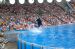 06-06-18, 136, SeaWorld, Fla