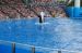 06-06-18, 137, SeaWorld, Fla