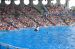 06-06-18, 138, SeaWorld, Fla