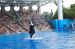 06-06-18, 139, SeaWorld, Fla