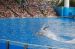 06-06-18, 141, SeaWorld, Fla
