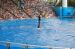 06-06-18, 143, SeaWorld, Fla