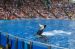 06-06-18, 148, SeaWorld, Fla