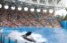 06-06-18, 149, SeaWorld, Fla