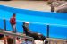 06-06-18, 166, SeaWorld, Fla