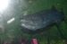 06-06-18, 172, SeaWorld, Fla