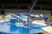06-06-18, 181, SeaWorld, Fla