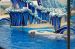 06-06-18, 192, SeaWorld, Fla