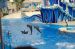 06-06-18, 193, SeaWorld, Fla