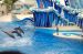 06-06-18, 195, SeaWorld, Fla