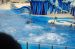 06-06-18, 197, SeaWorld, Fla