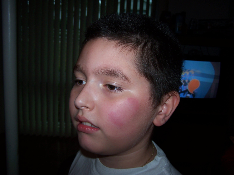 06-12-25, 020, Mikey, Christmas, Maitland, FL