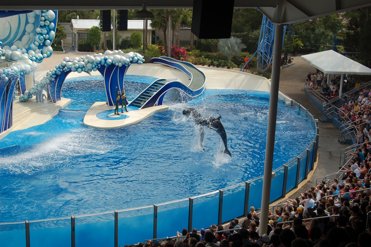 07-03-02, 066, Blue Horizons, Sea World, FL