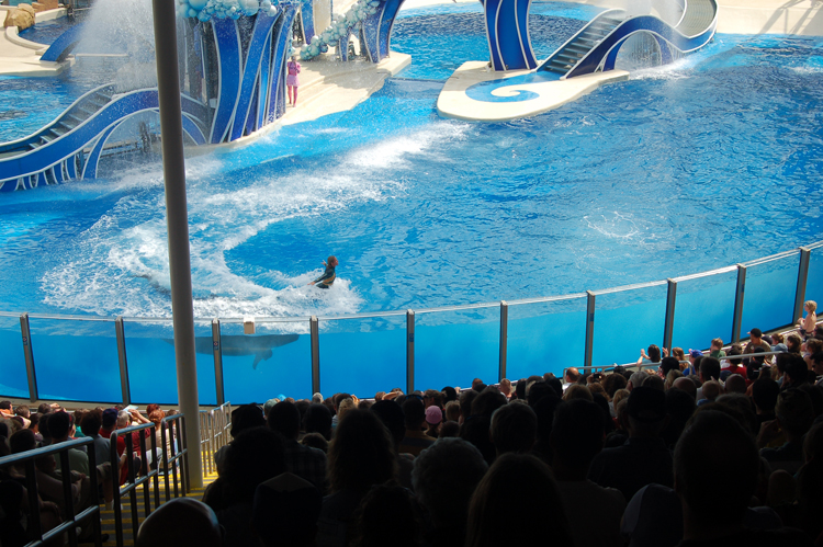 07-03-02, 067, Blue Horizons, Sea World, FL