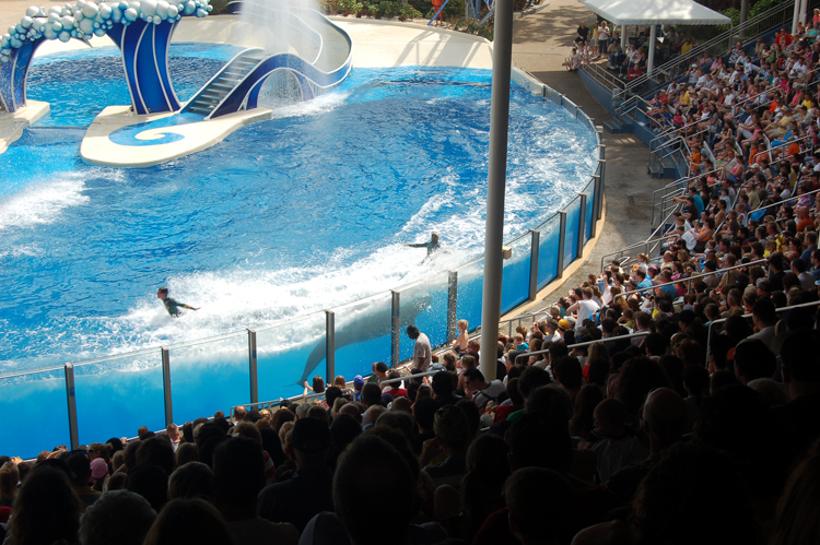 07-03-02, 069, Blue Horizons, Sea World, FL