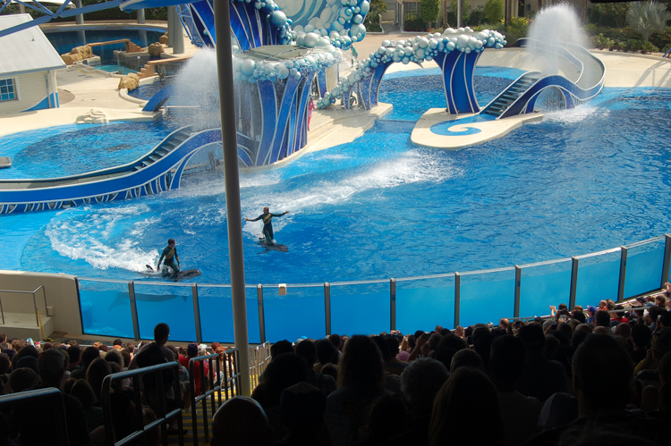 07-03-02, 073, Blue Horizons, Sea World, FL