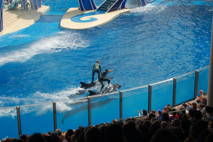 07-03-02, 074, Blue Horizons, Sea World, FL